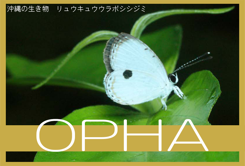 opha-eyecatch-2-_840x570